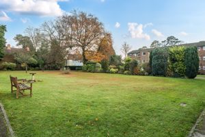 Photo 3- click for photo gallery